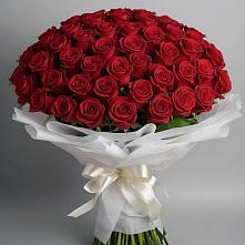 Букет 101 Красная роза Блэк Мэджик в Юго-Камский