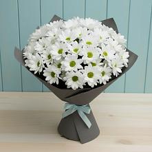 Букет цветов из:  Хризантемы #REPLACE_PRED# Юго-Камский