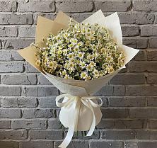 Букет цветов из:  Ромашки #REPLACE_PRED# Юго-Камский