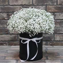 Цветочная композиция из Гипсофила в шляпной коробке в Юго-Камский