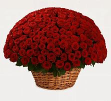 Премиум букет из: Розы в Юго-Камский